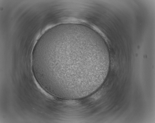 X0000084531479200703091615