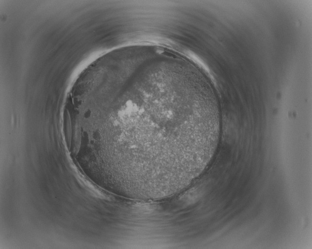 X0000084531480200703091615