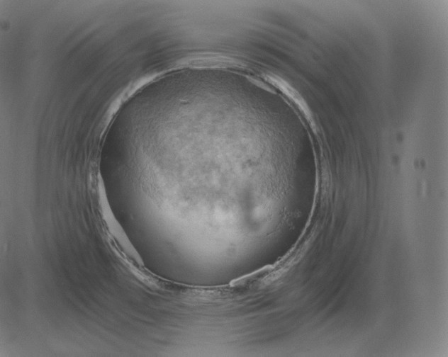 X0000084531481200703091615