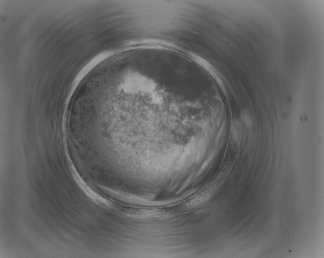 X0000084531482200703091615