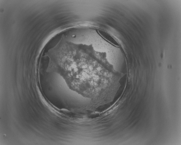 X0000084531483200703091615