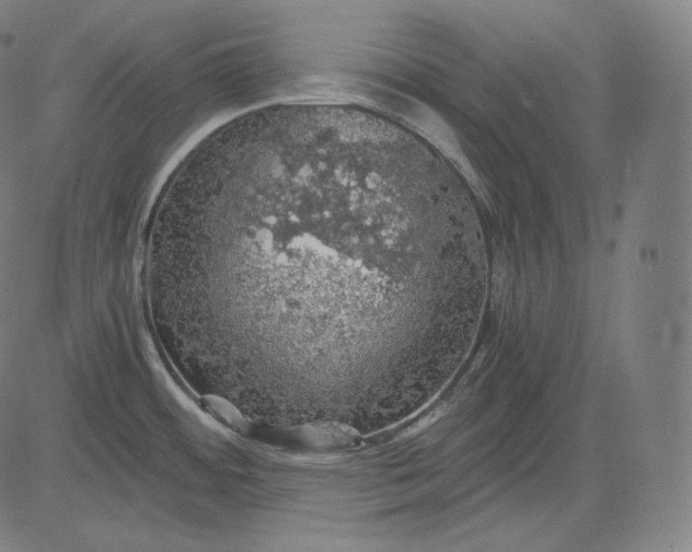 X0000084531484200703091615