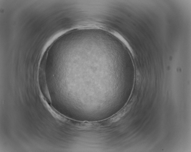 X0000084531485200703091615