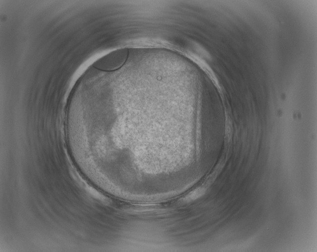 X0000084531486200703091615