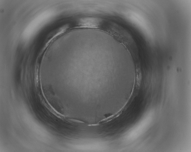 X0000084531487200703091615