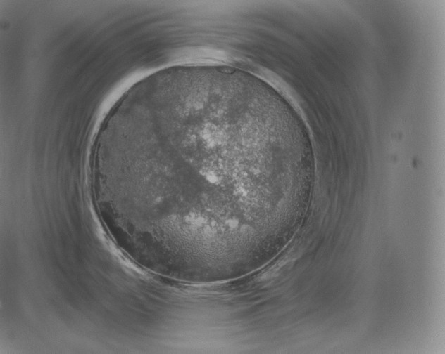 X0000084531488200703091615