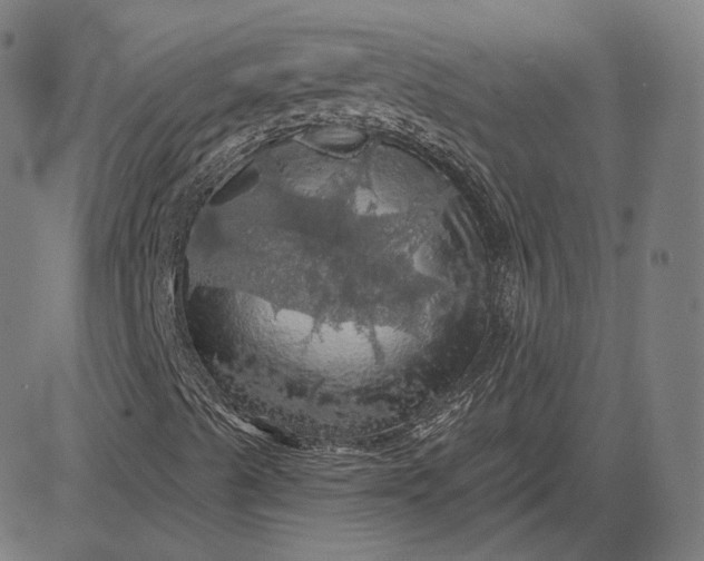 X0000084531489200703091614