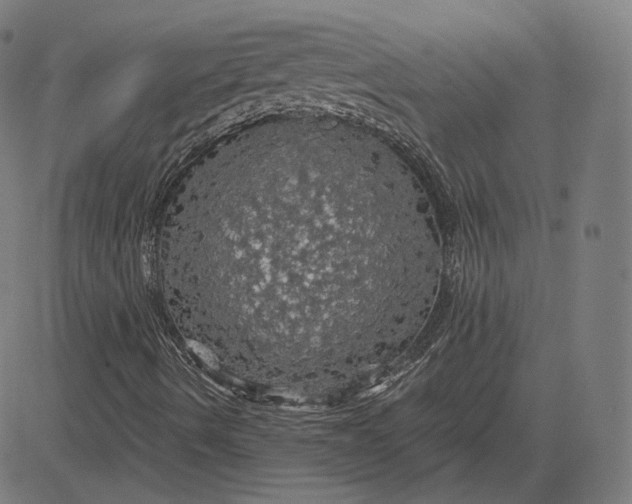 X0000084531490200703091614