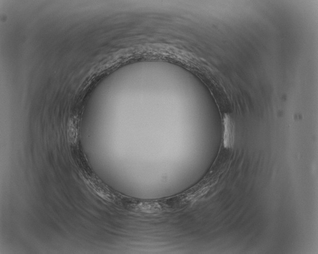 X0000084531491200703091614