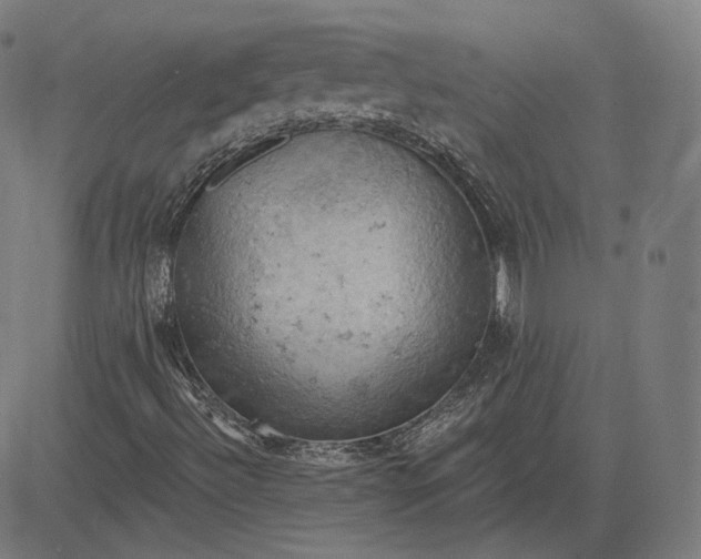 X0000084531492200703091614