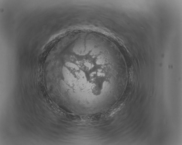 X0000084531494200703091614