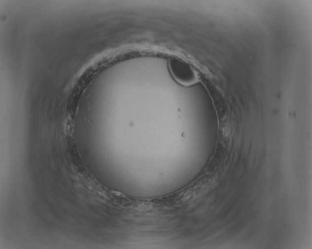 X0000084531495200703091614