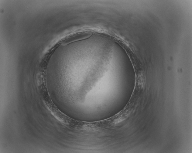 X0000084531496200703091614