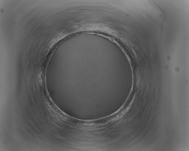 X0000084531497200703091614