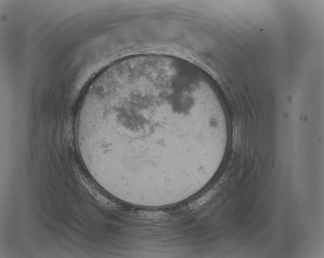 X0000084531498200703091614