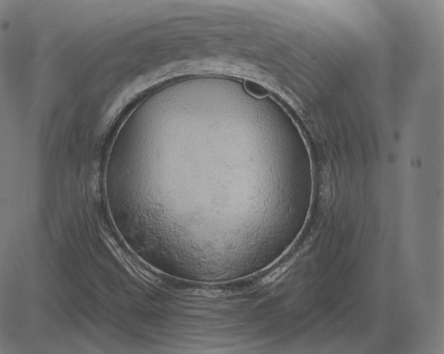 X0000084531499200703091614