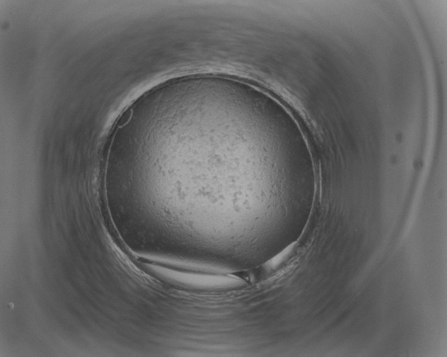 X0000084531500200703091614