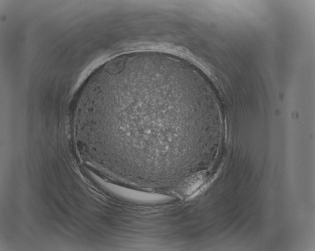 X0000084531501200703091614