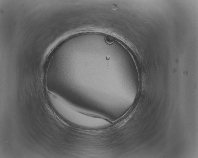 X0000084531502200703091614