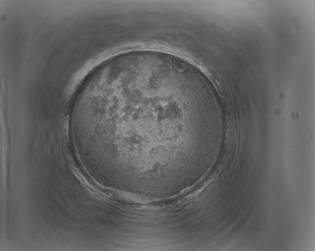 X0000084531503200703091614