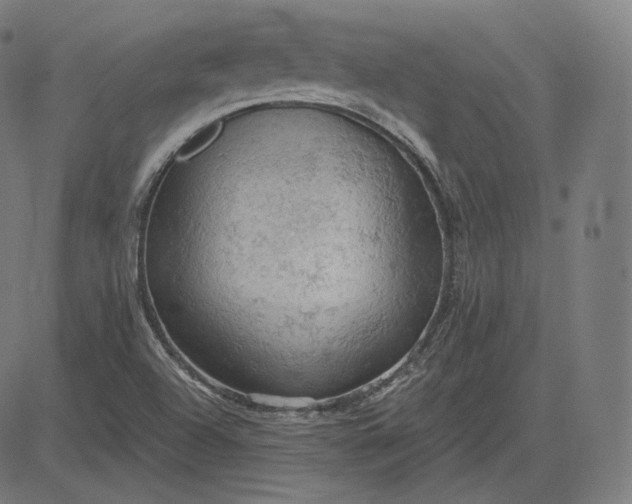 X0000084531504200703091614