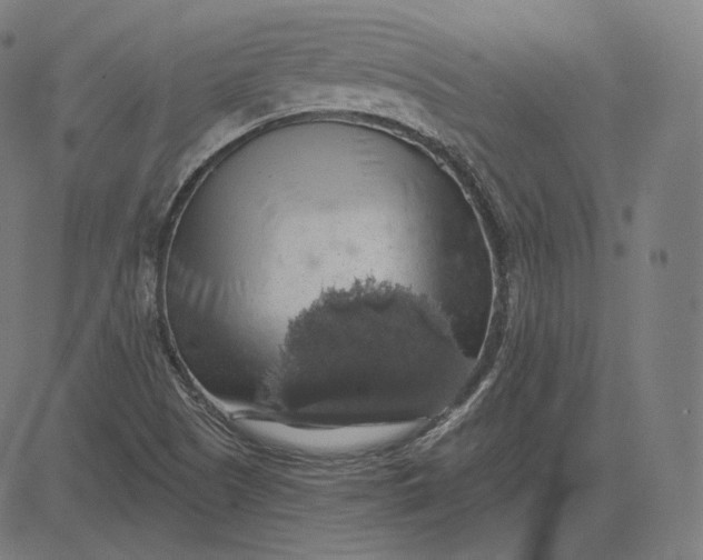 X0000084531505200703091614