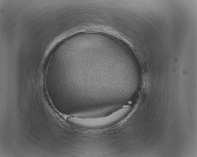 X0000084531506200703091614