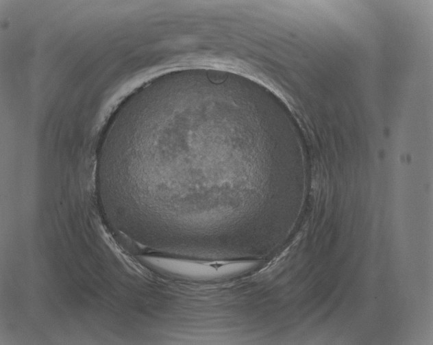 X0000084531507200703091614