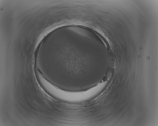 X0000084531508200703091614