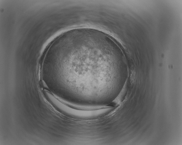 X0000084531510200703091614