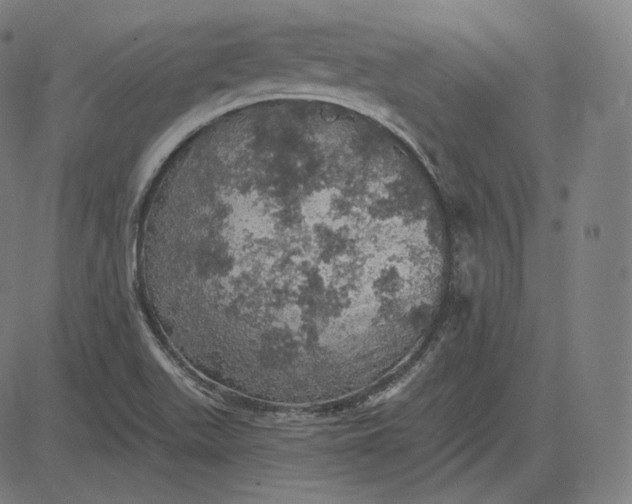 X0000084531511200703091615