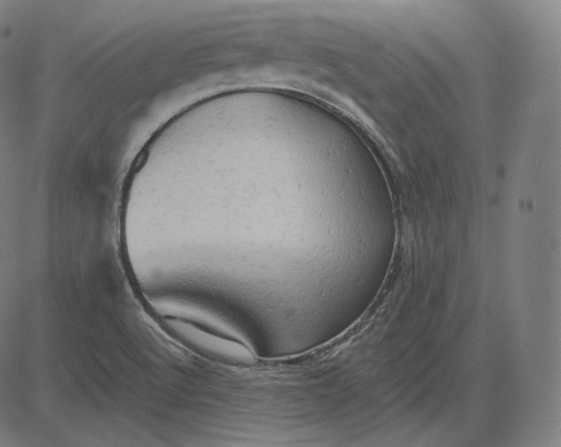 X0000084531512200703091615