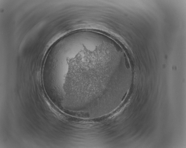 X0000084531513200703091615