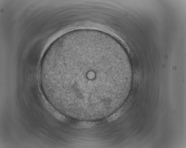 X0000084531514200703091615