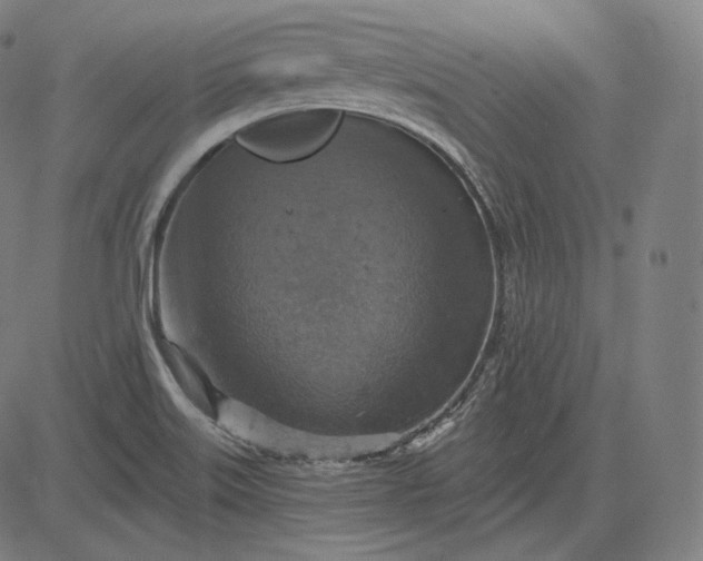 X0000084531515200703091615