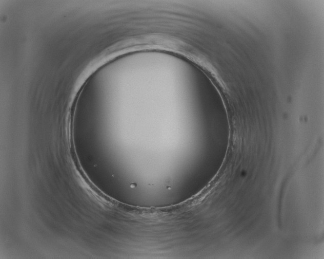 X0000084531516200703091615