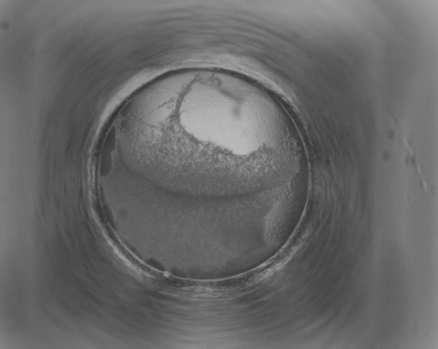 X0000084531517200703091615