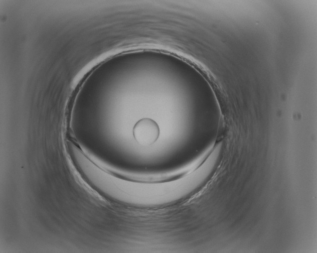 X0000084531518200703091615