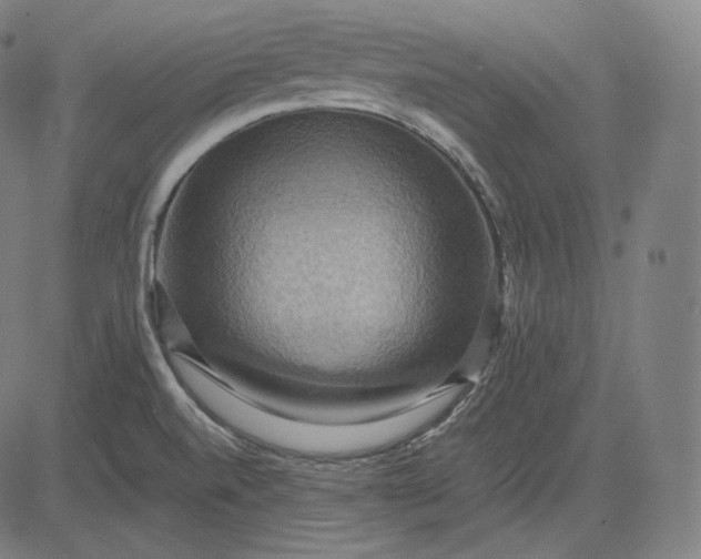 X0000084531520200703091615