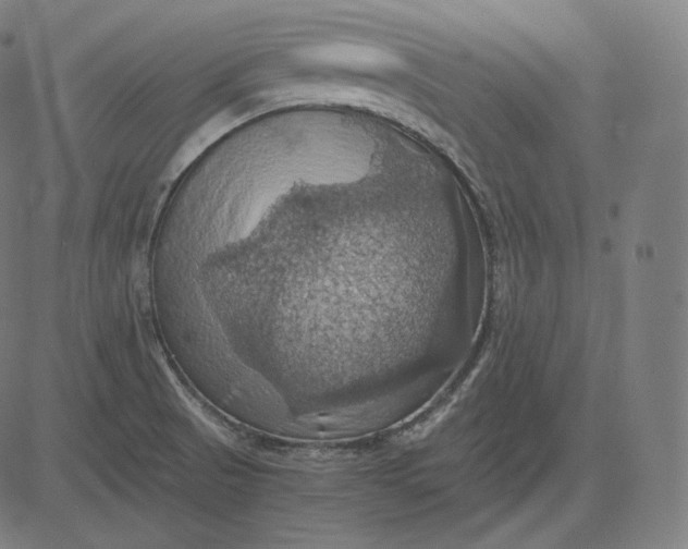 X0000084531521200703091615