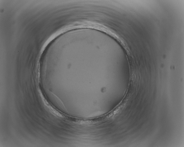 X0000084531522200703091615