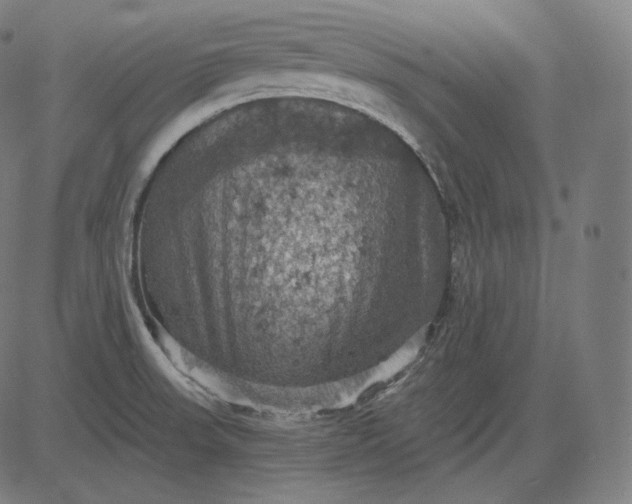 X0000084531523200703091615