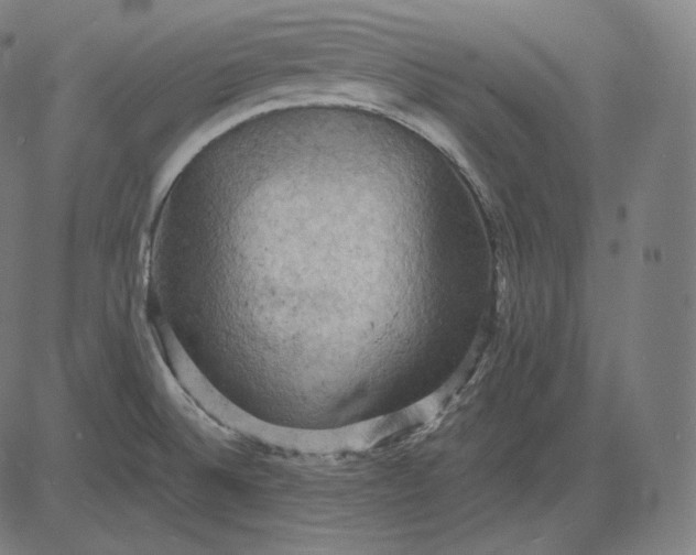 X0000084531524200703091615