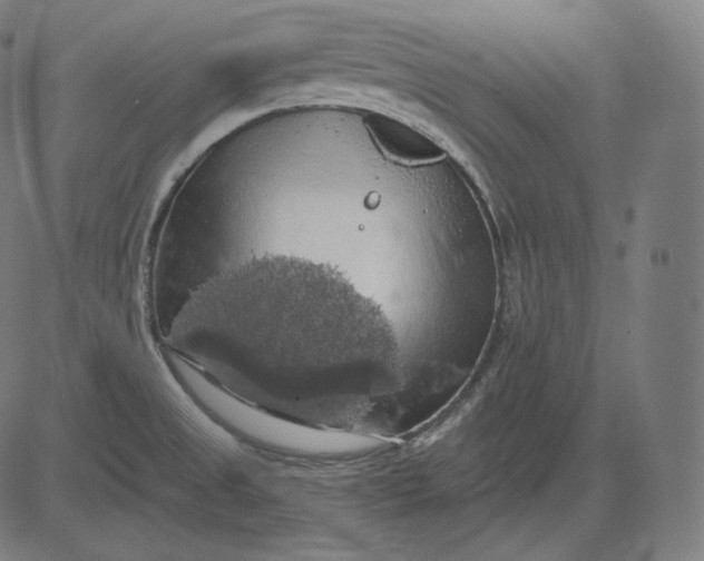 X0000084531525200703091615