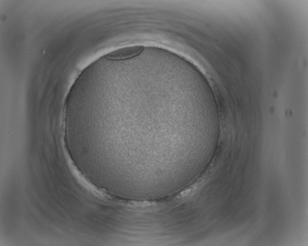 X0000084531526200703091615