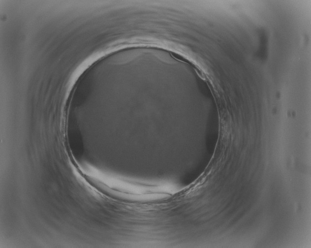 X0000084531527200703091615