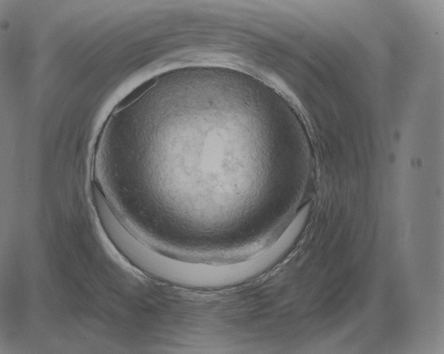 X0000084531528200703091615