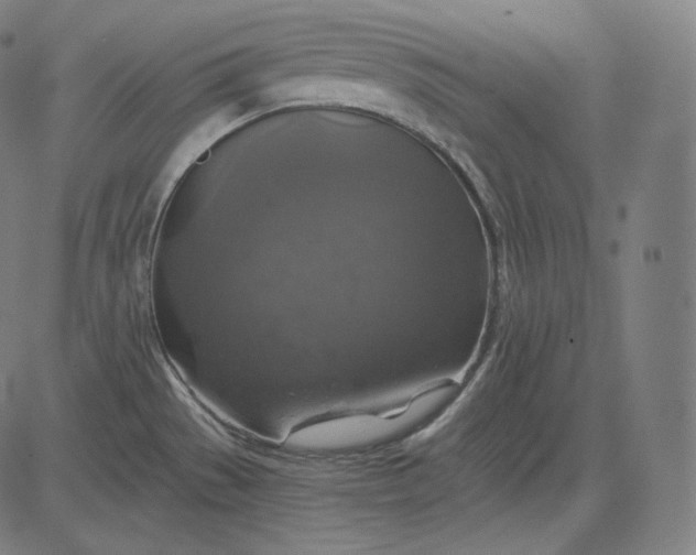 X0000084531529200703091615