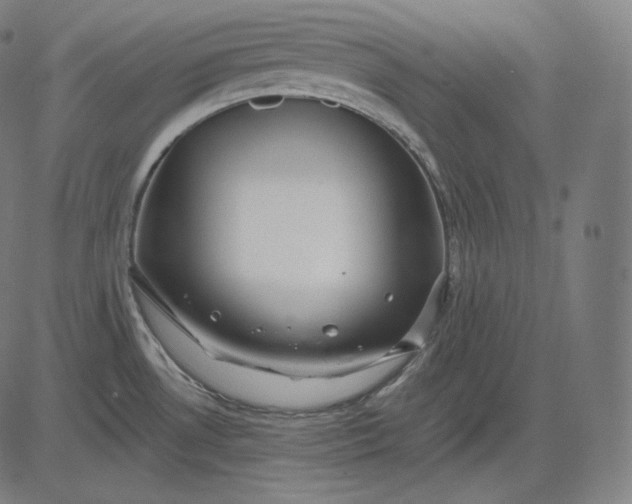 X0000084531530200703091615