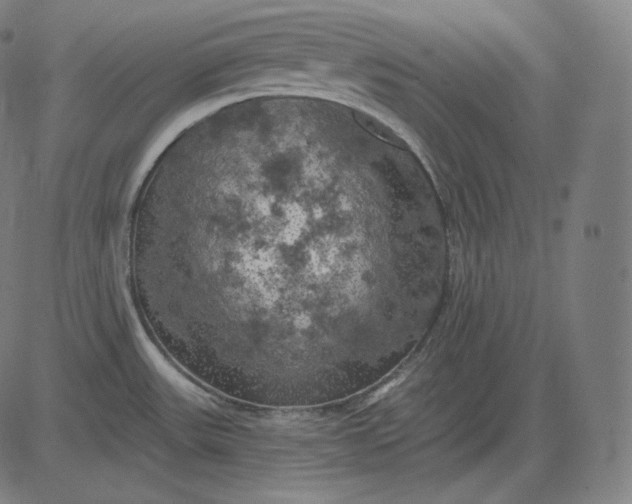 X0000084531531200703091615